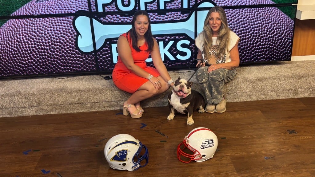 Dog Selects High School Football Matchup in Alexandria