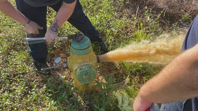 New area code coming to Louisiana 318 area code region