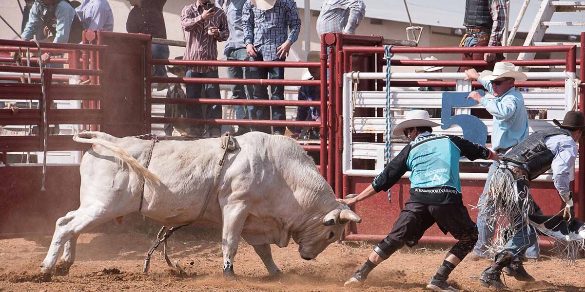 Annual Rapides Parish Rodeo returns to Cenla