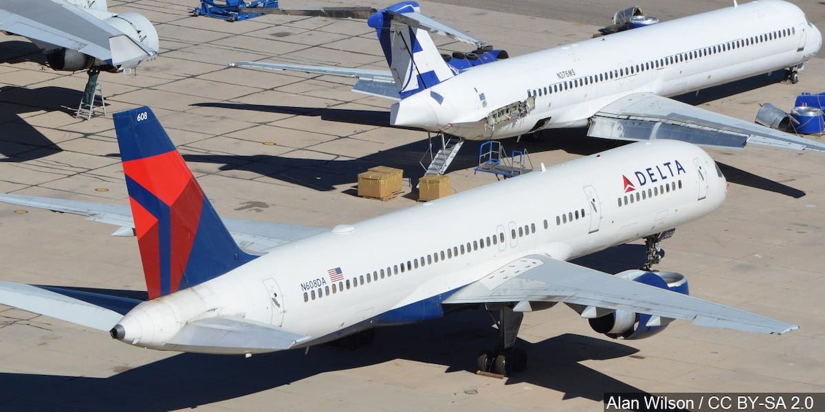 Delta Scam Delta: Probe uncovers 'criminal scheme' to scam pet owners