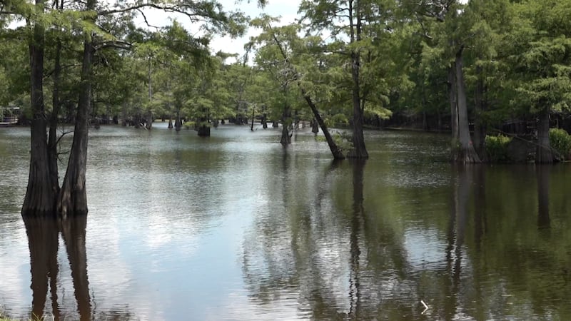 Saline Lake (July 3)