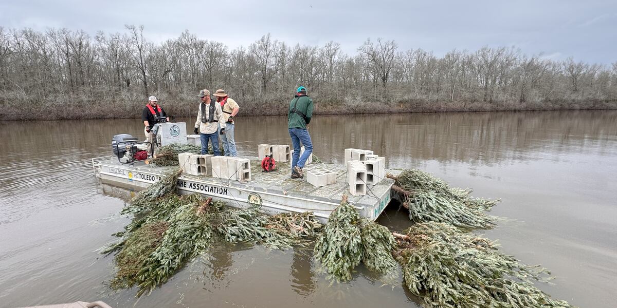 Christams Reeds LDWF deploys Saline-Larto Complex Christmas Tree reefs