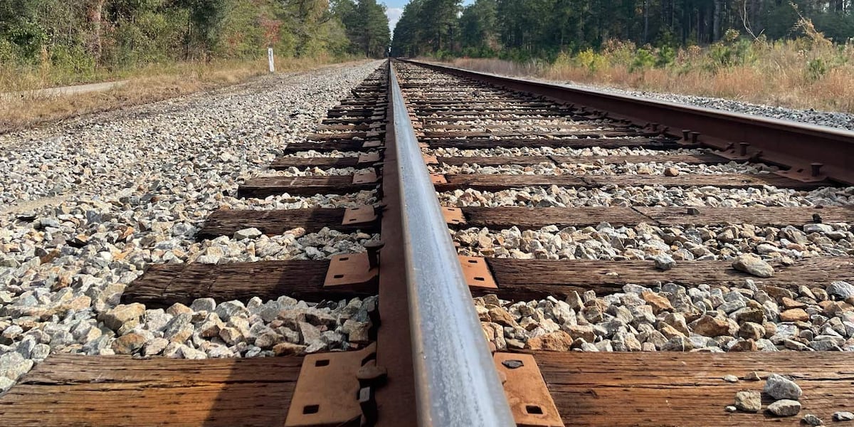 21-month-old dies after being hit by Amtrak train