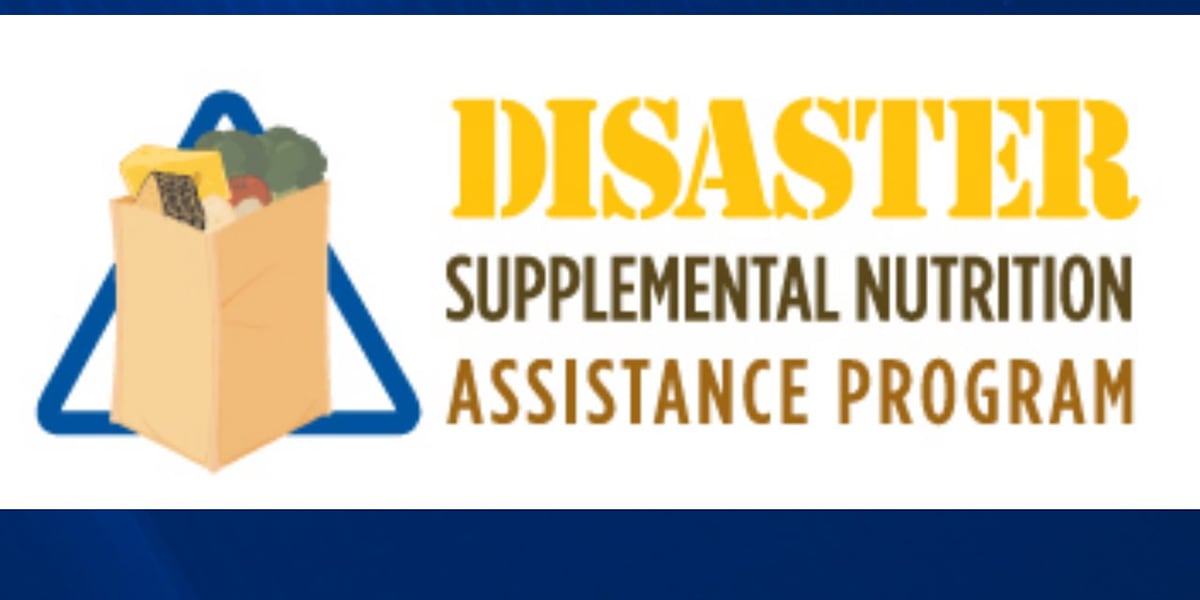 Application for Disaster SNAP benefits following Hurricane Delta due Friday