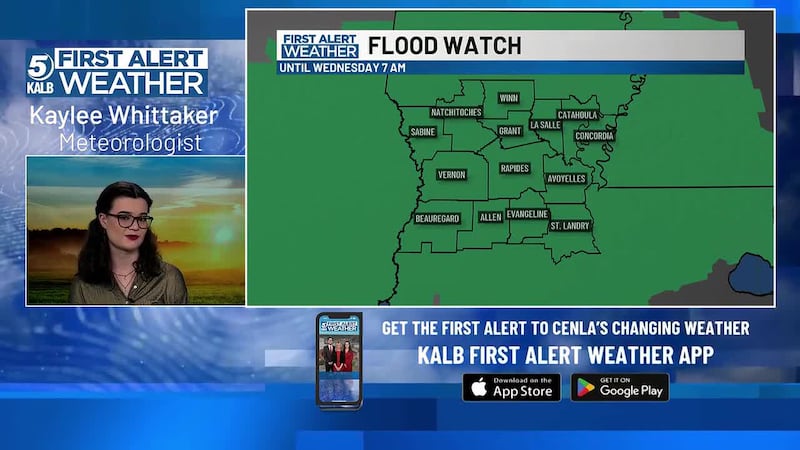 Kaylee's June 15 Digital Forecast