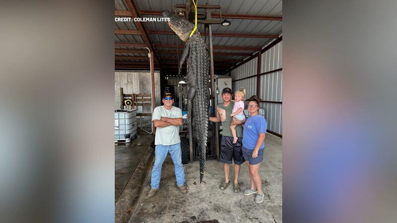 A Boyce man and his father got the shock of their lives after reeling in an alligator that...
