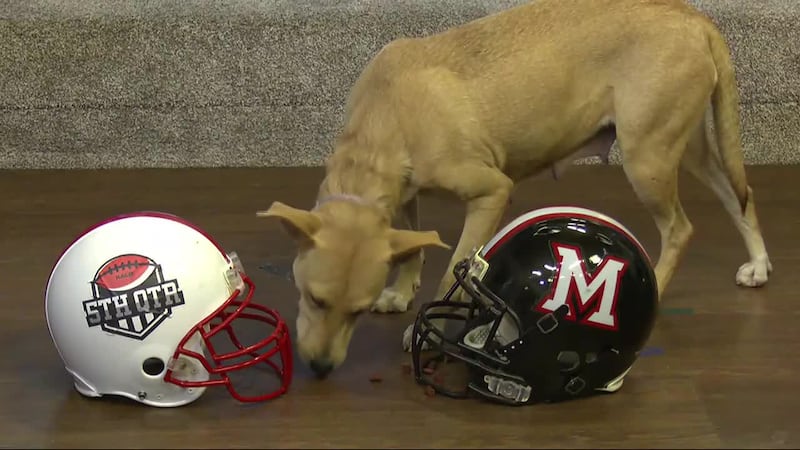 Annie makes her pick for Many vs Red River!